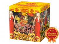 Красивая жизнь Фейерверк купить в Светогорске | svetogorsk.salutsklad.ru