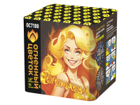 С огоньком! Фейерверк купить в Светогорске | svetogorsk.salutsklad.ru