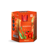 Тюльпаны Салют купить в Светогорске | svetogorsk.salutsklad.ru