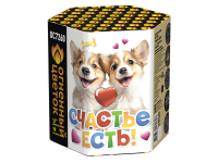 Счастье есть! Салют купить в Светогорске | svetogorsk.salutsklad.ru