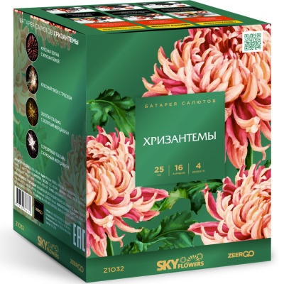 Хризантемы Фейерверк купить в Светогорске | svetogorsk.salutsklad.ru