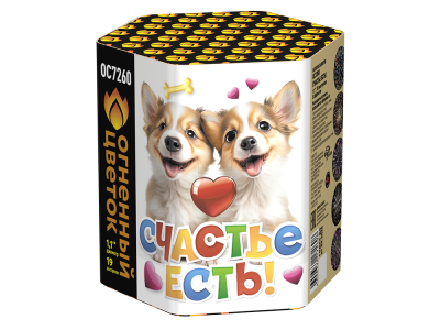 Счастье есть! Салют купить в Светогорске | svetogorsk.salutsklad.ru